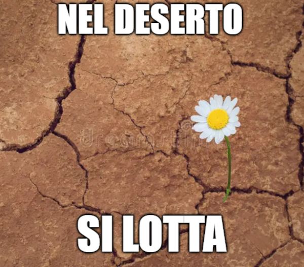 Stampa Rassegnata 347 6-12Lug. episode artwork